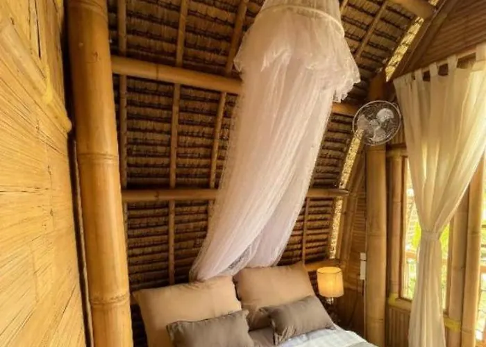 Tree Bamboo House