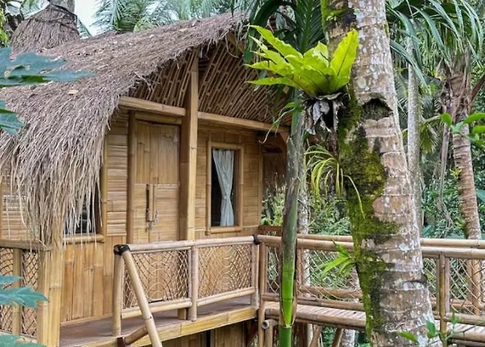 Tree Bamboo House