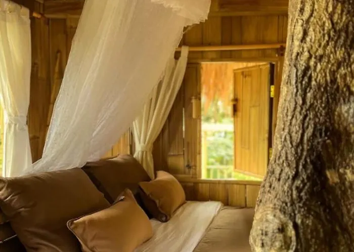 مزرعة للإقامة Tree Bamboo House *