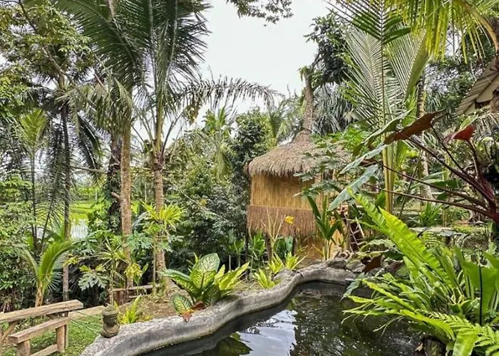 مزرعة للإقامة Tree Bamboo House *