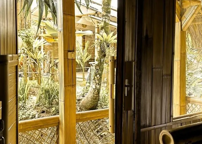 Tree Bamboo House *