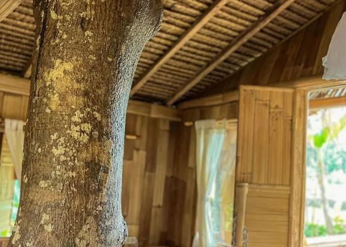 مزرعة للإقامة Tree Bamboo House