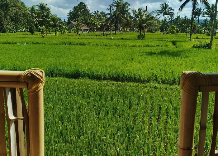 مزرعة للإقامة Tree Bamboo House *