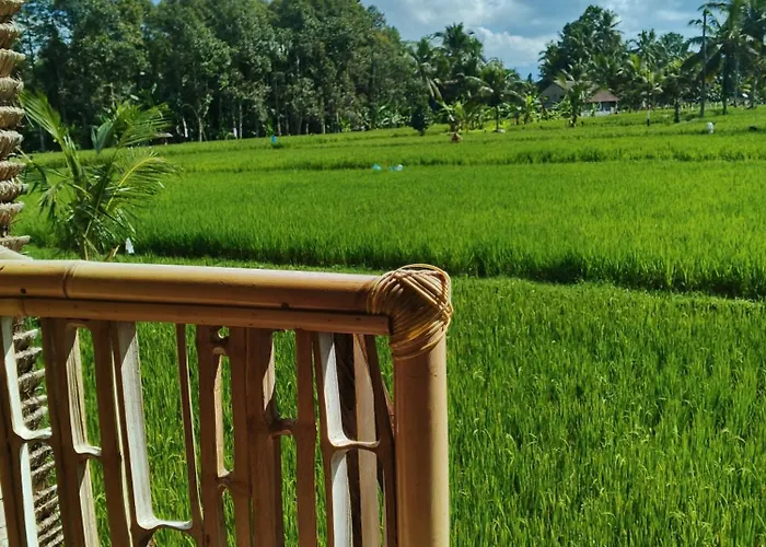 مزرعة للإقامة Tree Bamboo House
